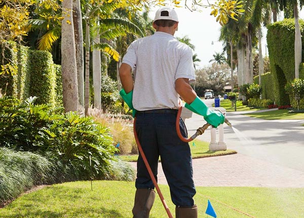 About Marengo WI Pest Control Pros